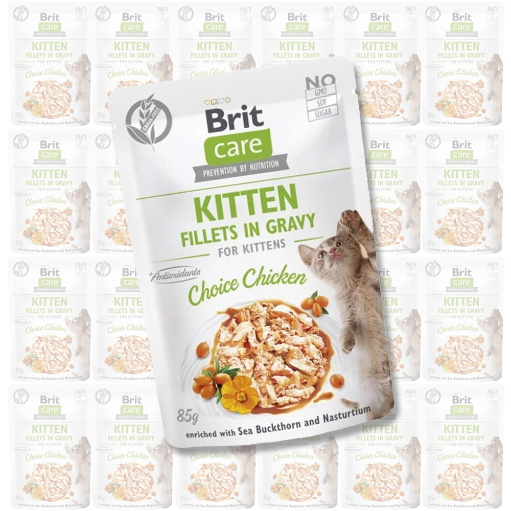 Brit-Care-Cat-Kurczak-dla-kociąt-mokra-karma-dla-kotów.jpg