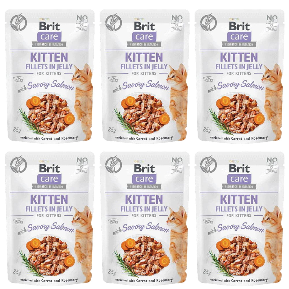 Brot-care-cat-mokra-karma-dla-kota-kociąt-łosoś-salmon.jpg