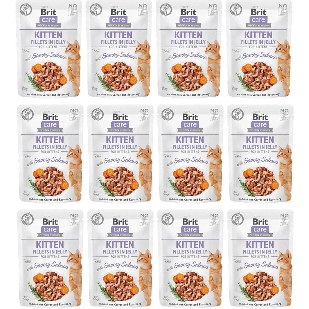 Brot-care-cat-mokra-karma-dla-kota-kociąt-łosoś-salmon.jpg
