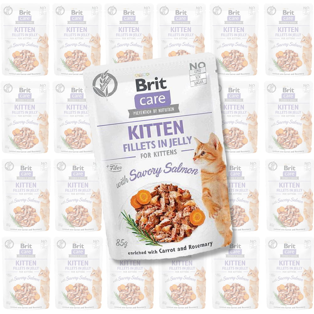 Brot-care-cat-mokra-karma-dla-kota-kociąt-łosoś-salmon.jpg