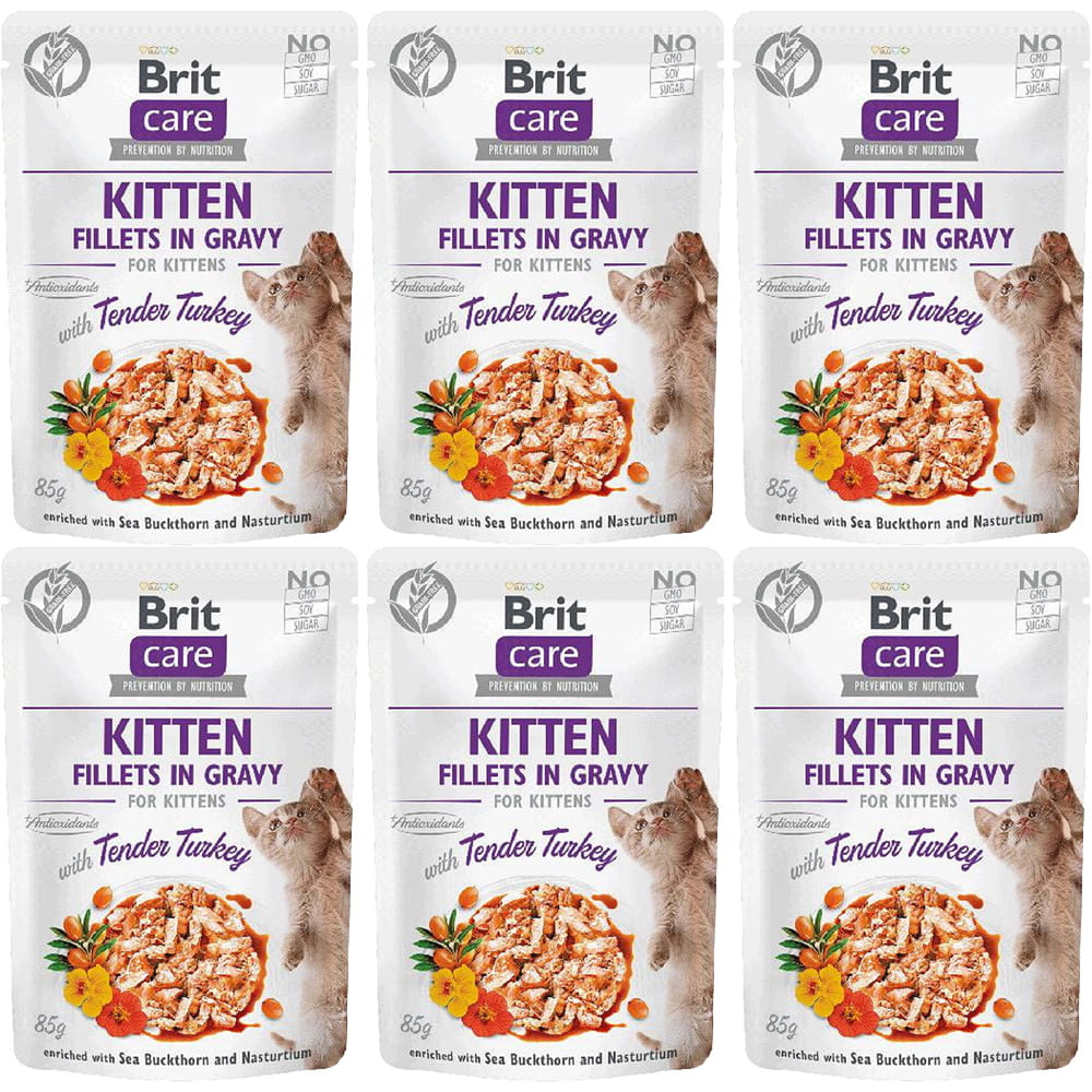 Brit-care-cat-kitten-mokra-karma-dla-kota-kociąt.jpg