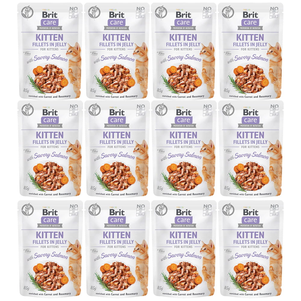 Brit-care-cat-savory-salmon-łosoś-mokra-karm-dla-kota.jpg
