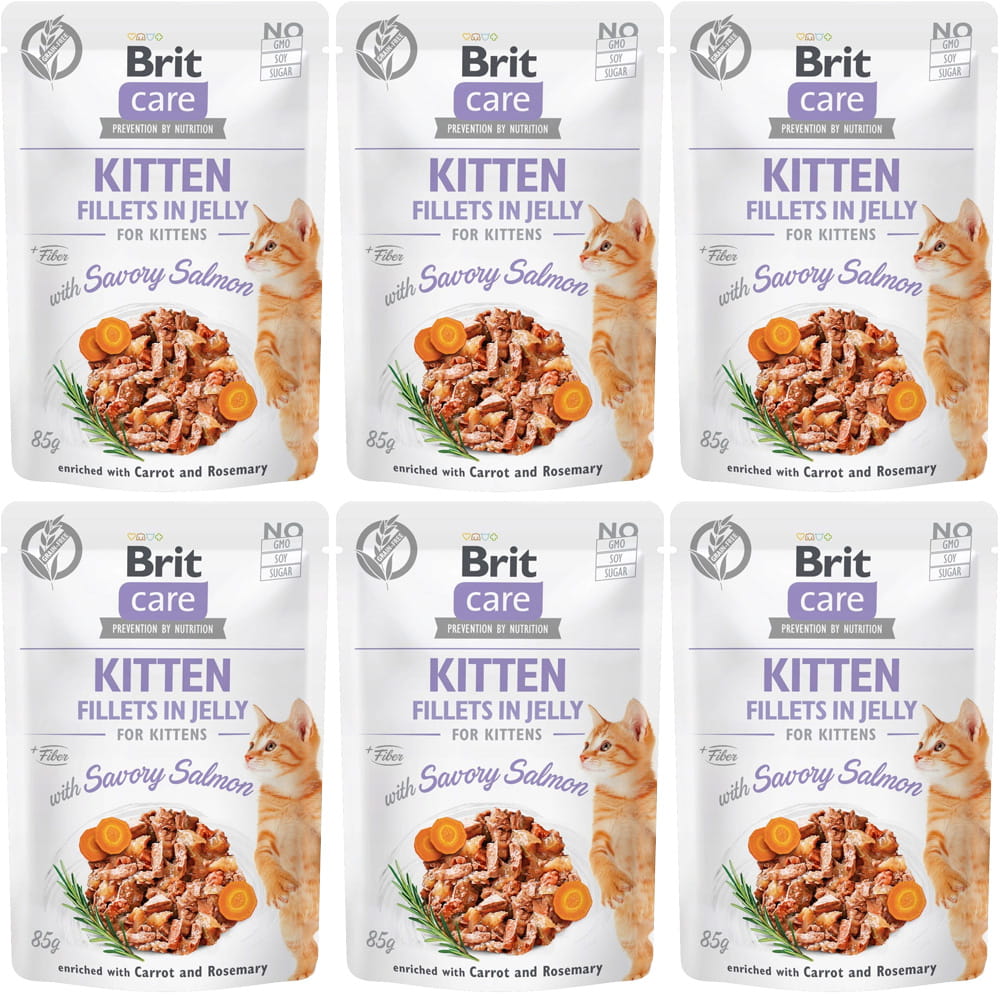 Brit-care-cat-savory-salmon-łosoś-mokra-karm-dla-kota.jpg