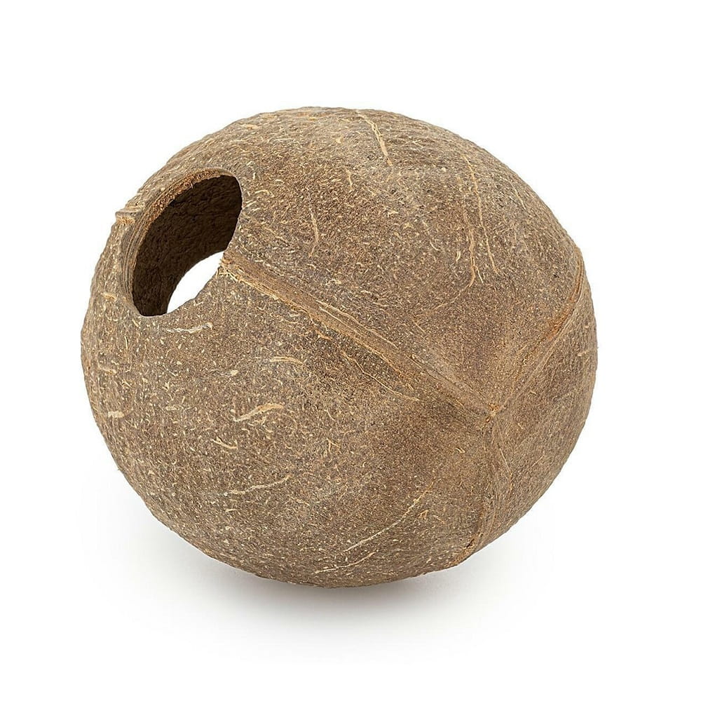 kokos-szczotkowany-ozdoba-akwarium-terrarium2.jpg